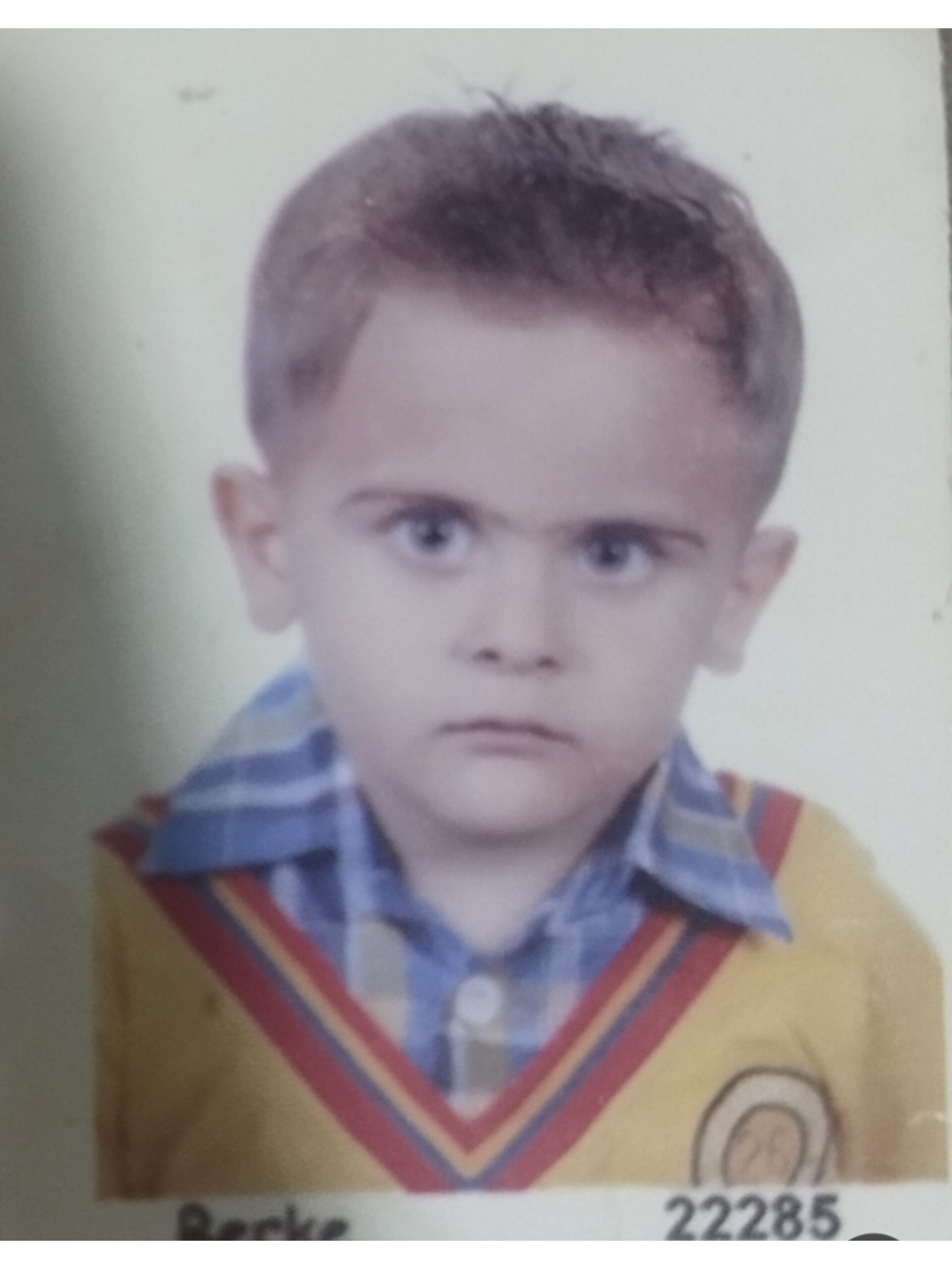 بردیا محمدبیگی سلخوری - سامانه تخصصی کیک بوکسینگ - ایران ورزش