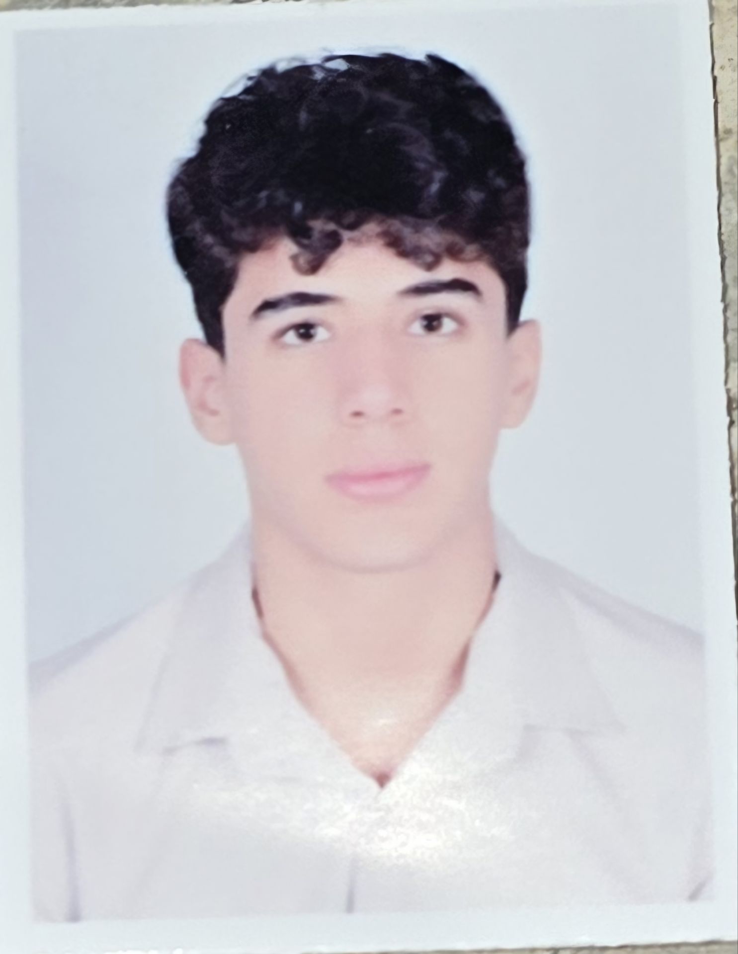 محمد نیک فرد - سامانه تخصصی کیک بوکسینگ - ایران ورزش