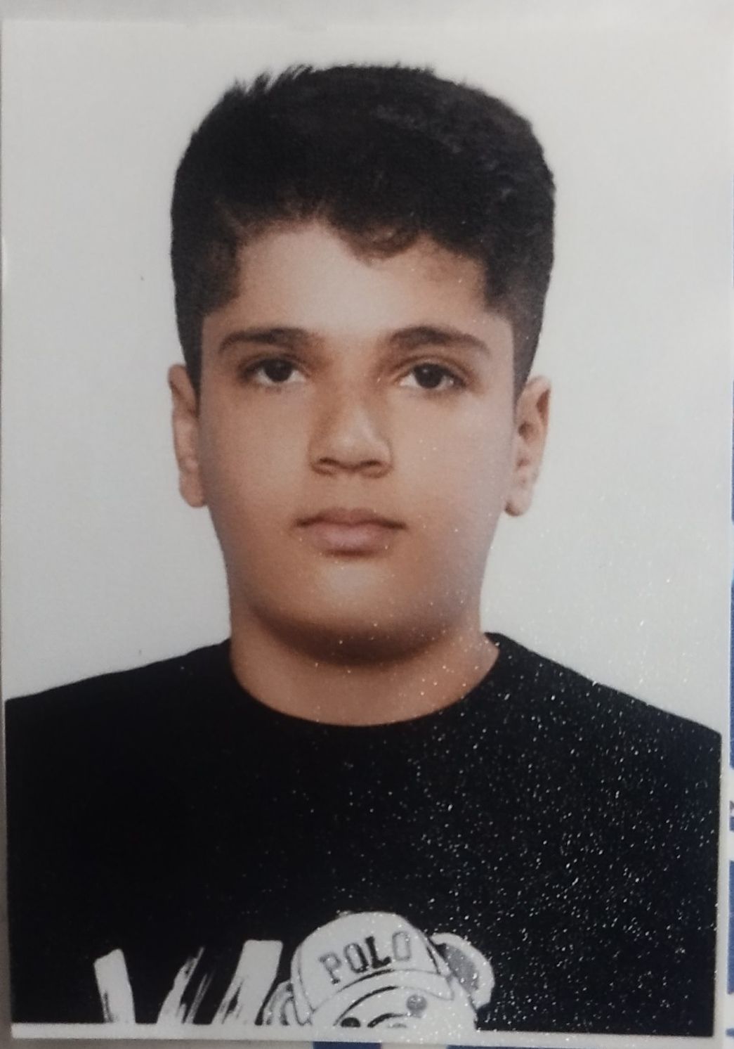 علی اثباتی - سامانه تخصصی MMA - ایران ورزش