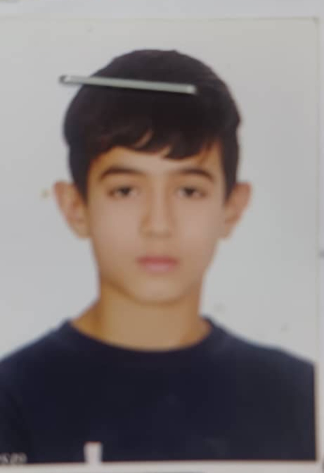 امیرحسین نجفی راد قارلقی - سامانه تخصصی MMA - ایران ورزش
