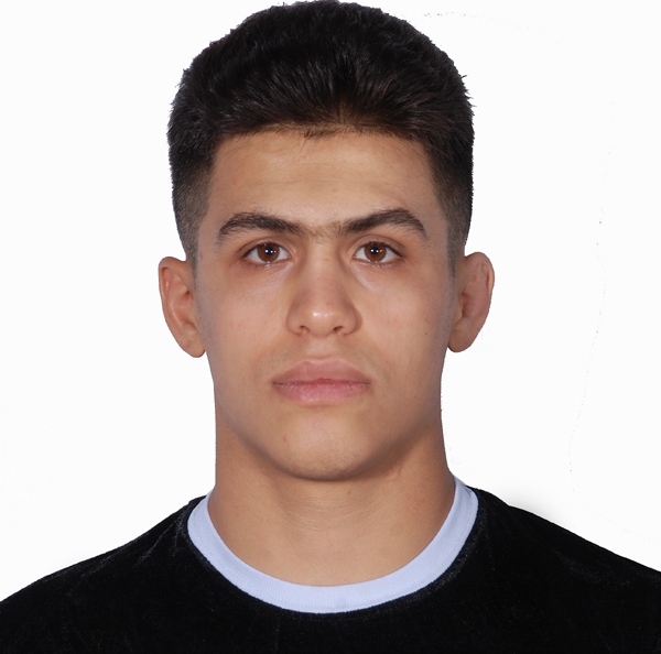 امیر  هارونی - سامانه تخصصی MMA - ایران ورزش