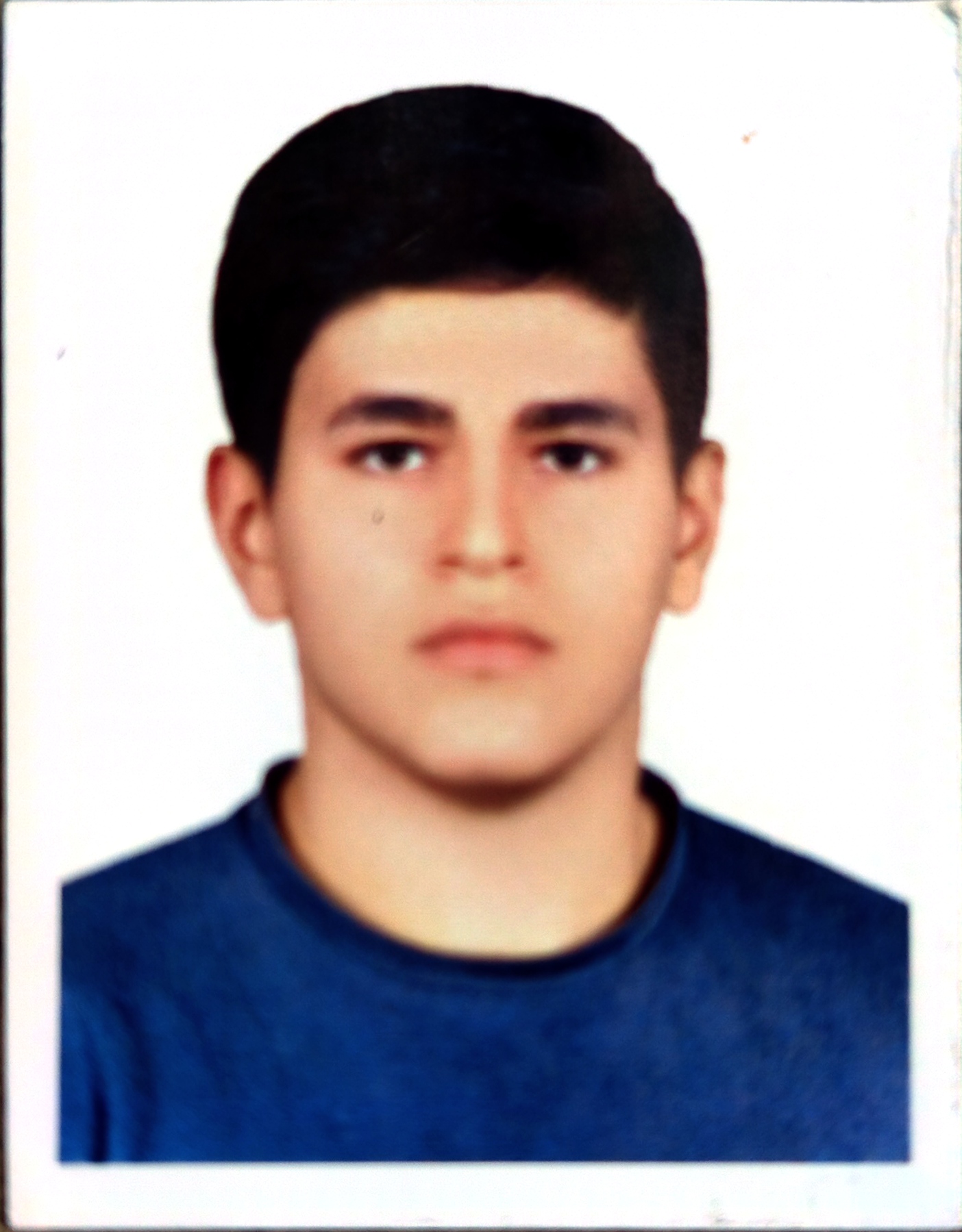 علی  احمدی - سامانه تخصصی MMA - ایران ورزش