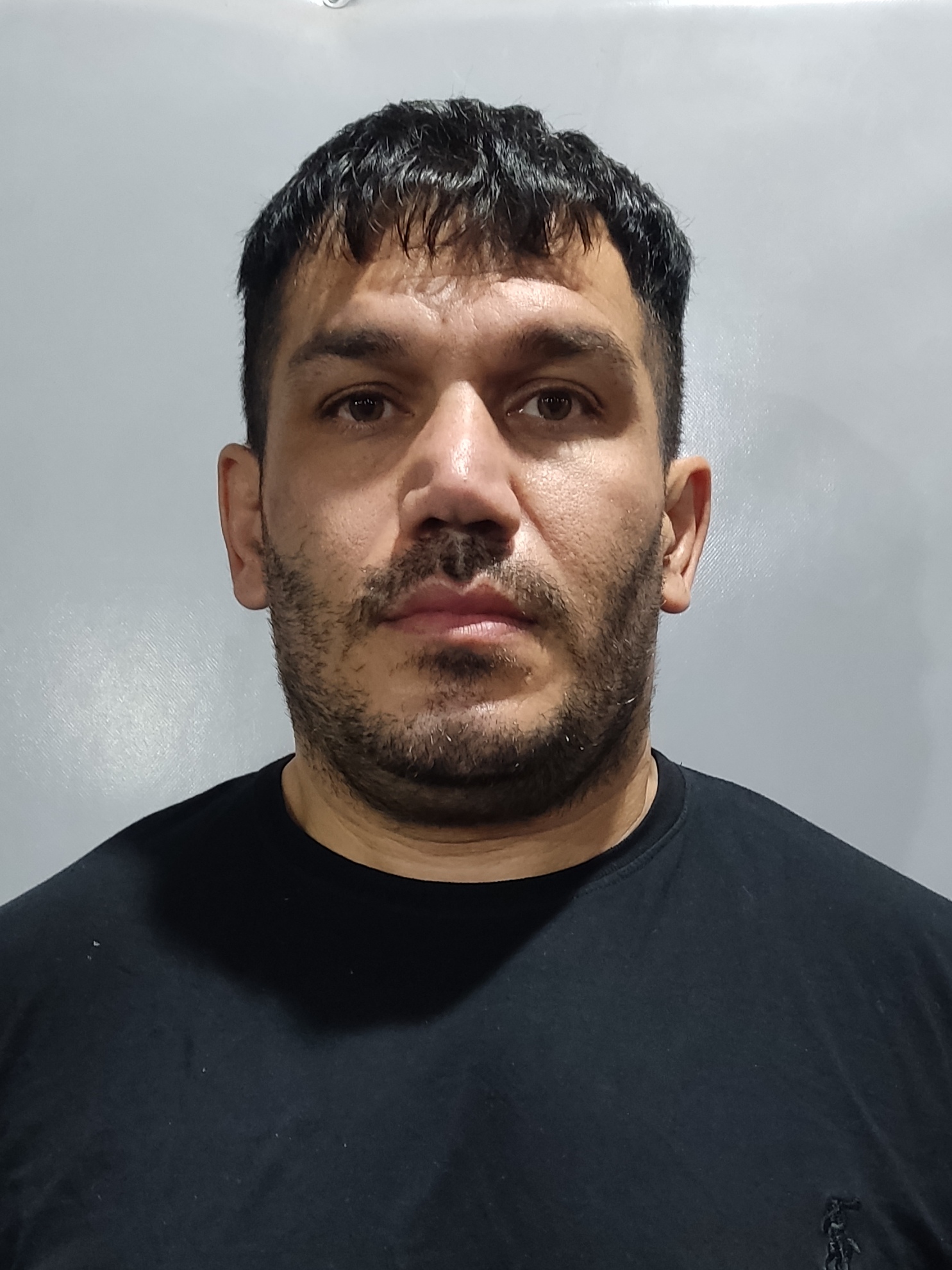محمد جلیل زاده - سامانه تخصصی MMA - ایران ورزش