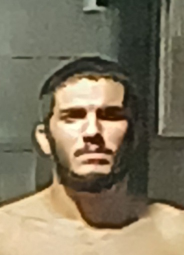 دانیال محمدی - سامانه تخصصی MMA - ایران ورزش