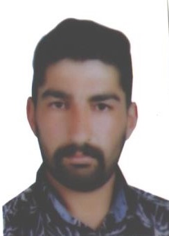 نوید عزیززاده - سامانه تخصصی MMA - ایران ورزش