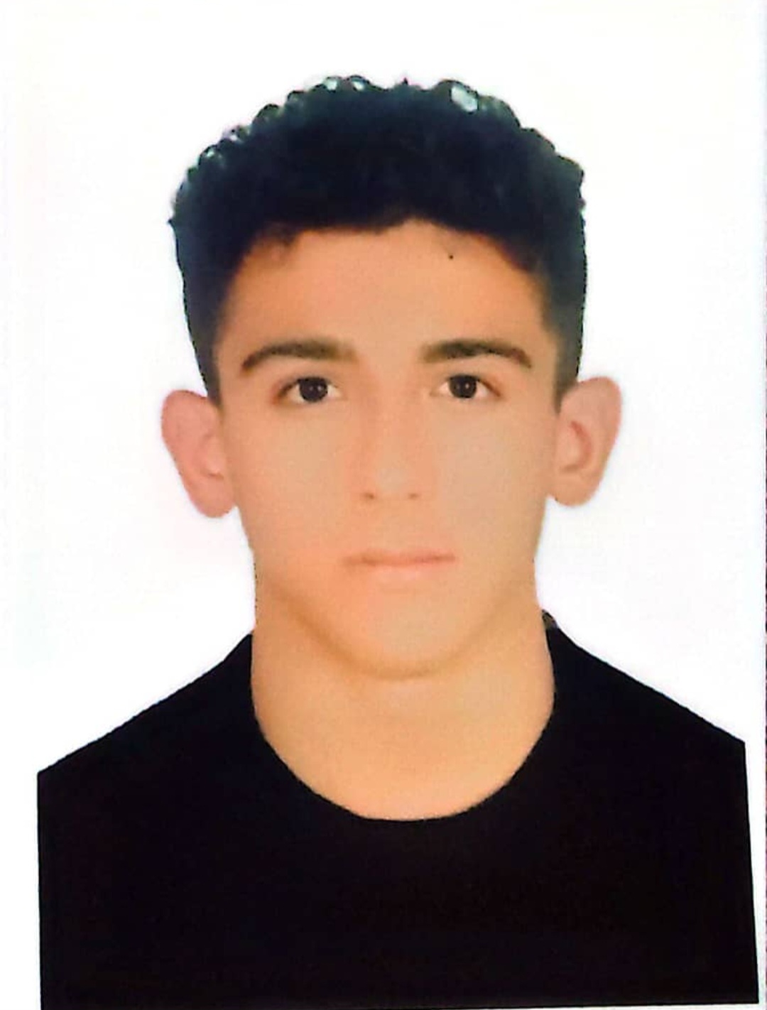 امیر رضا زارعی - سامانه تخصصی MMA - ایران ورزش