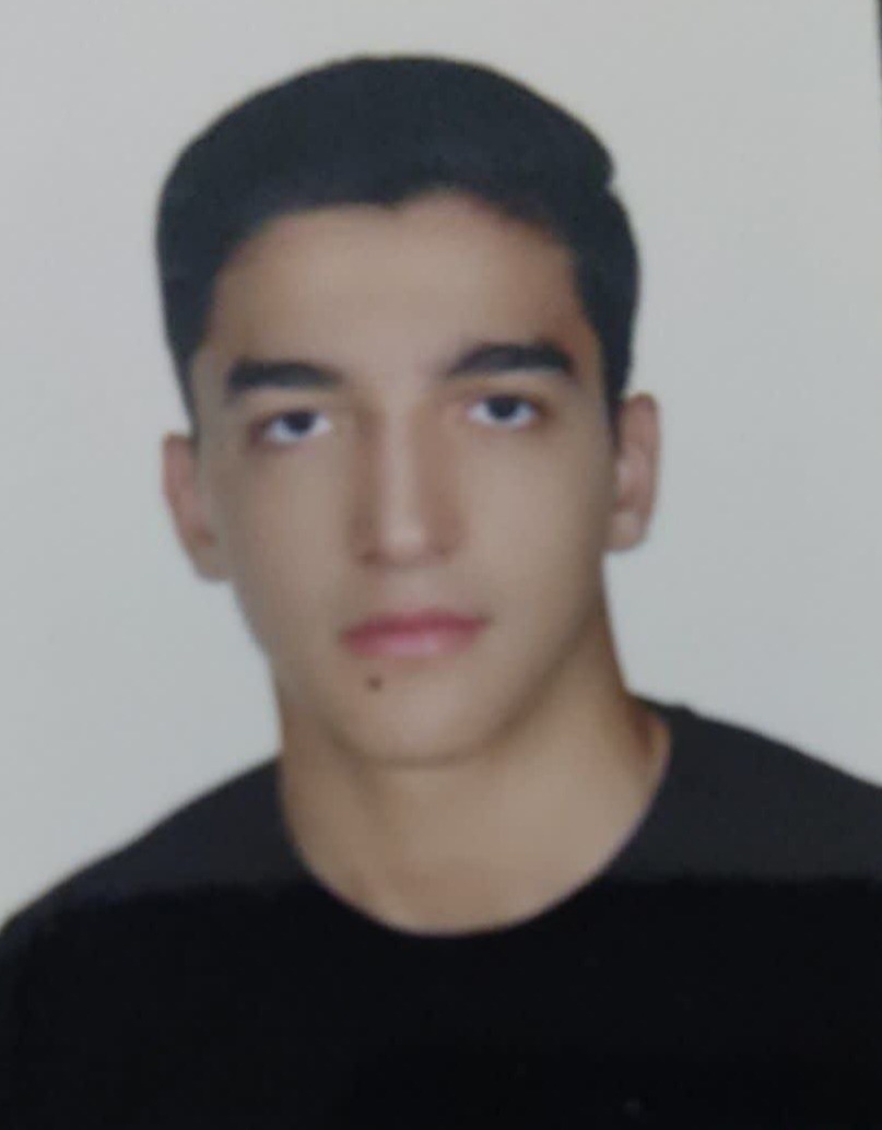 متین  فراهانی - سامانه تخصصی MMA - ایران ورزش