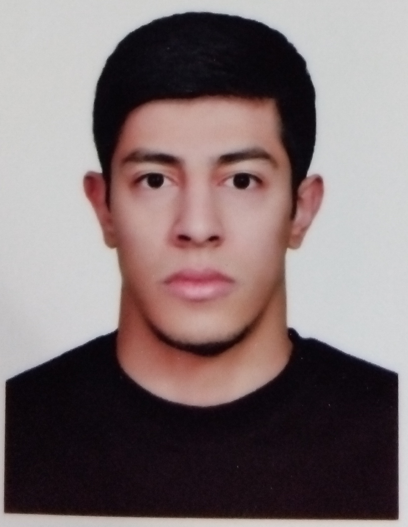پژواک زرین ماه - سامانه تخصصی MMA - ایران ورزش