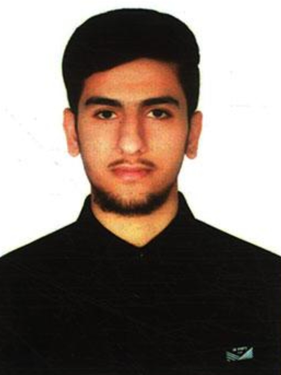 سید محمد  حسینی - سامانه تخصصی MMA - ایران ورزش