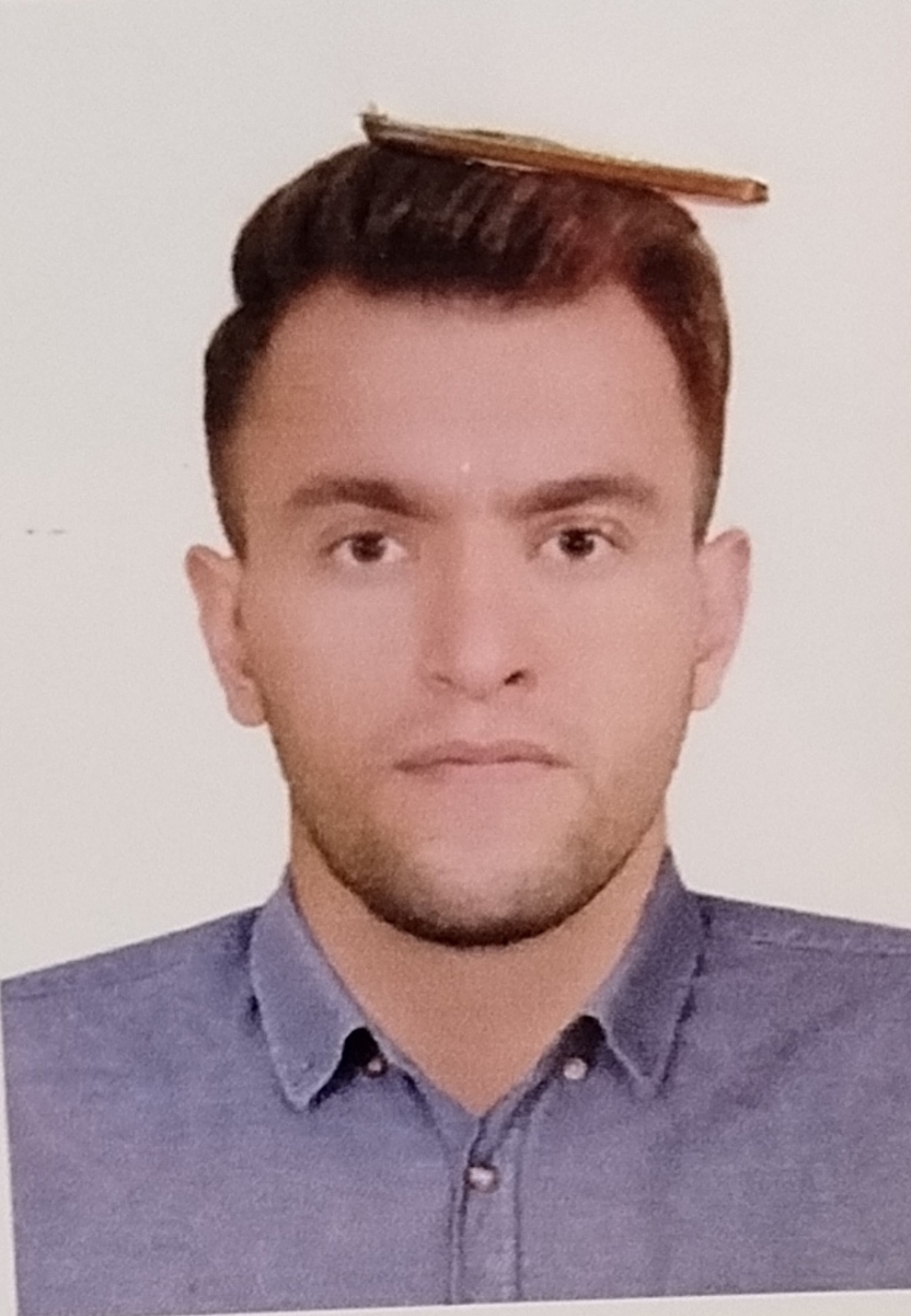 علیرضا  شرافتی - سامانه تخصصی MMA - ایران ورزش