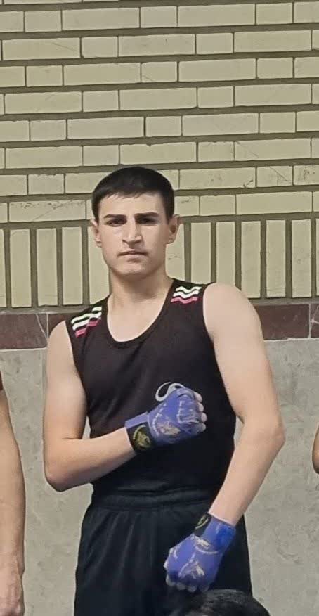 امیر محمد مجیدی - سامانه تخصصی MMA - ایران ورزش