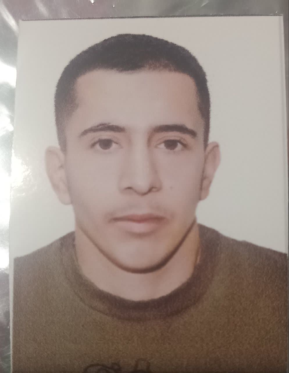 امیر محمد عین الهی - سامانه تخصصی MMA - ایران ورزش