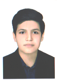 رضا نادری - سامانه تخصصی MMA - ایران ورزش