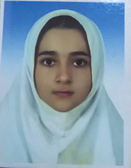 پارمین طاهری فرا - سامانه تخصصی MMA - ایران ورزش