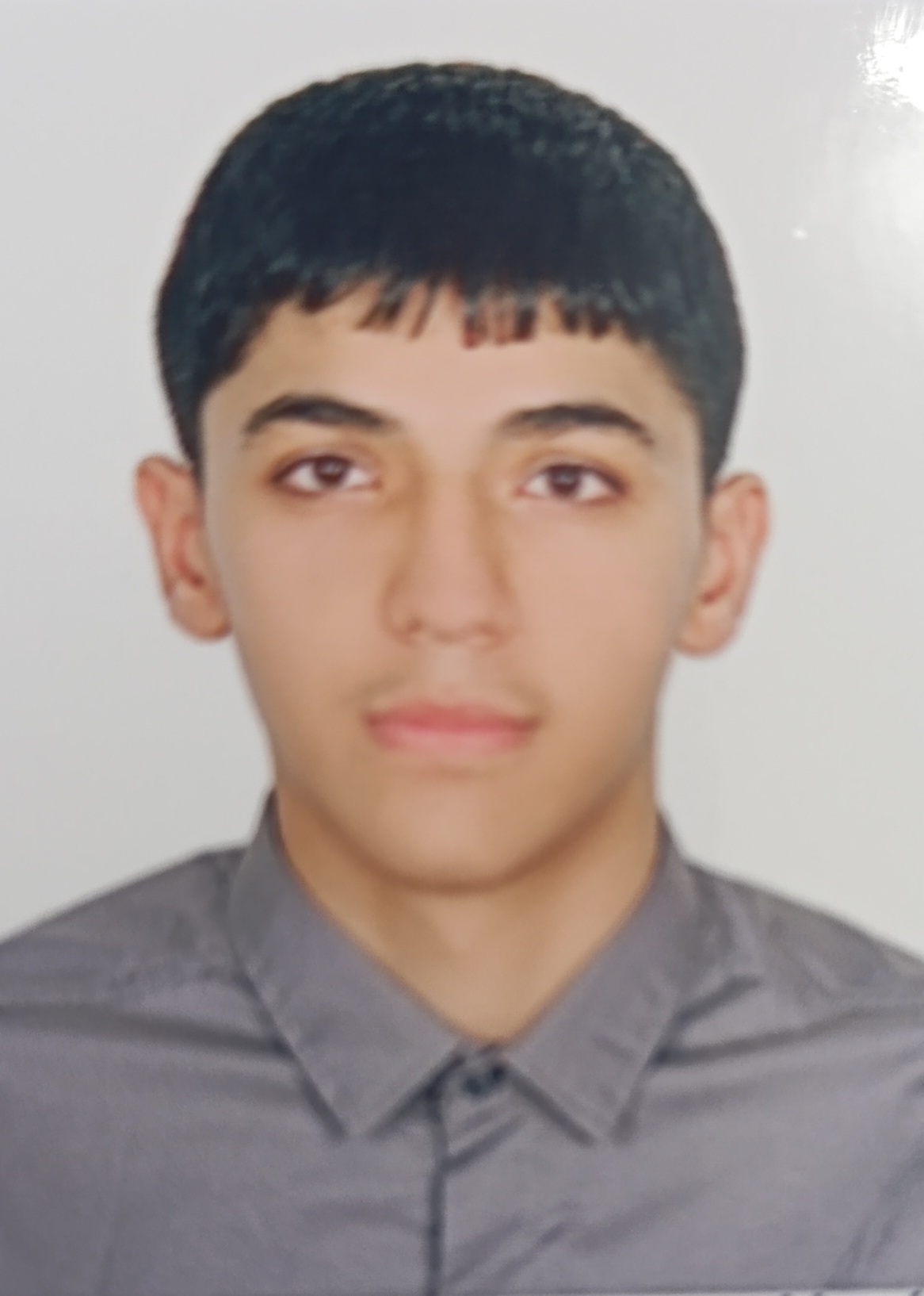 علی ابراهیمی - سامانه تخصصی MMA - ایران ورزش