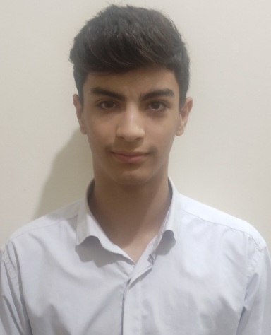 حسین  شیرزادی - سامانه تخصصی MMA - ایران ورزش