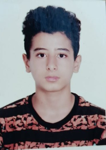 دانیال کوهی - سامانه تخصصی MMA - ایران ورزش