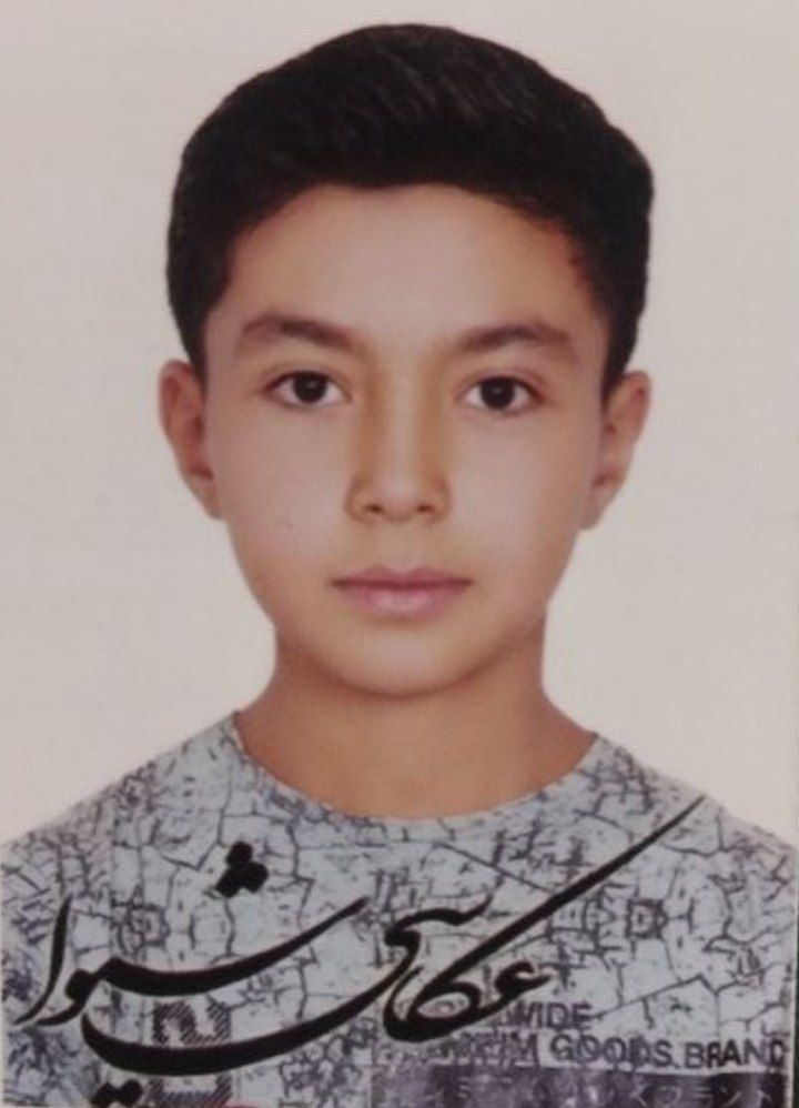میکائیل محمدی - سامانه تخصصی MMA - ایران ورزش