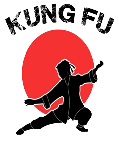 کنگ فو